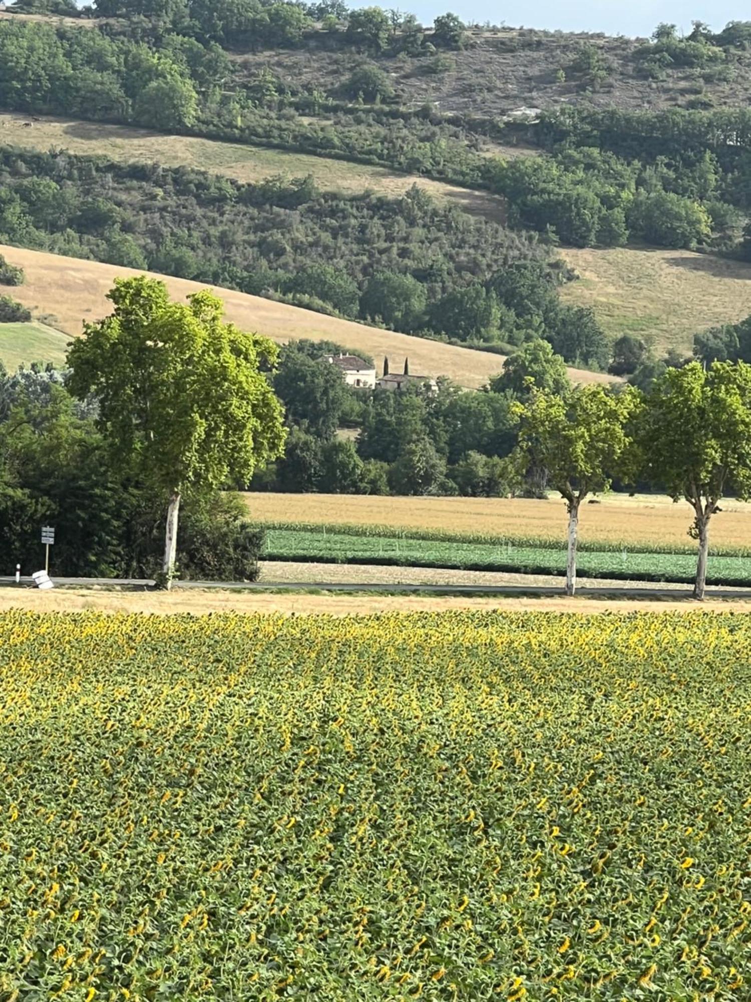 La Bastide De La Bogne Panzió Vindrac-Alayrac Kültér fotó